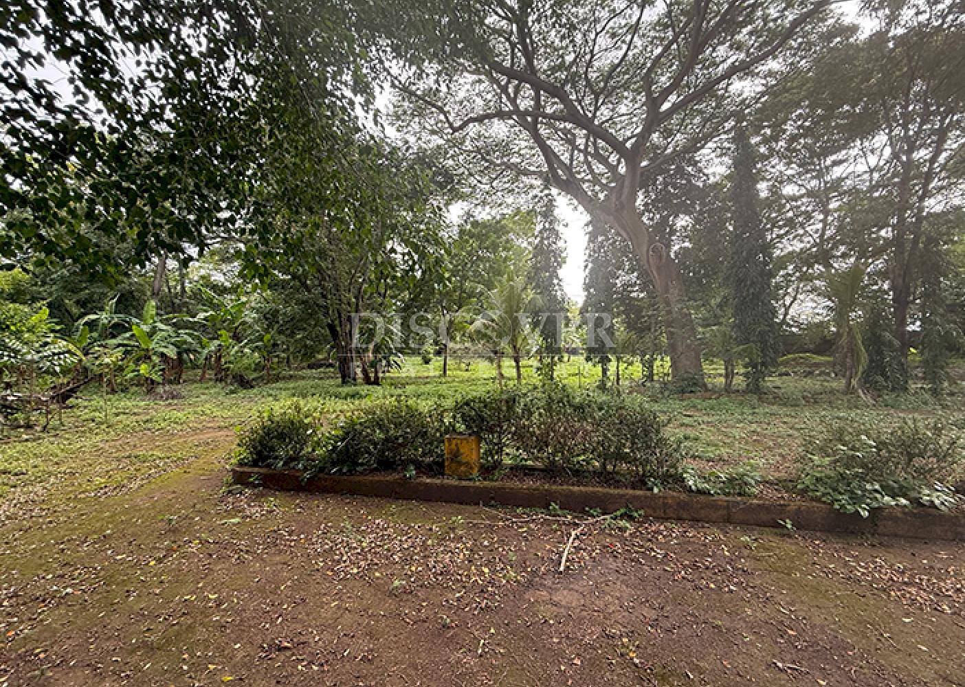  Land for sale along a highway in Masaya