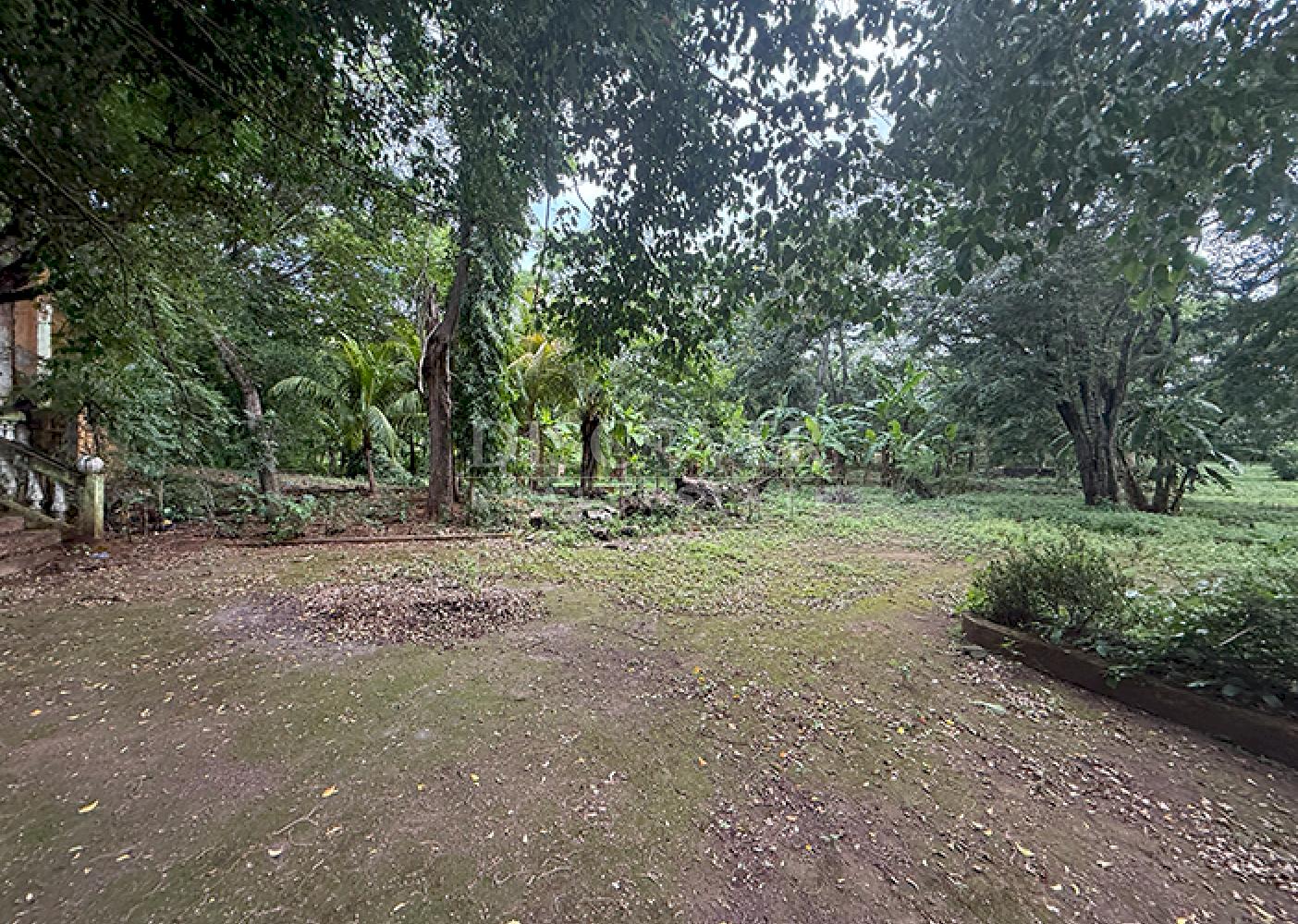  Land for sale along a highway in Masaya