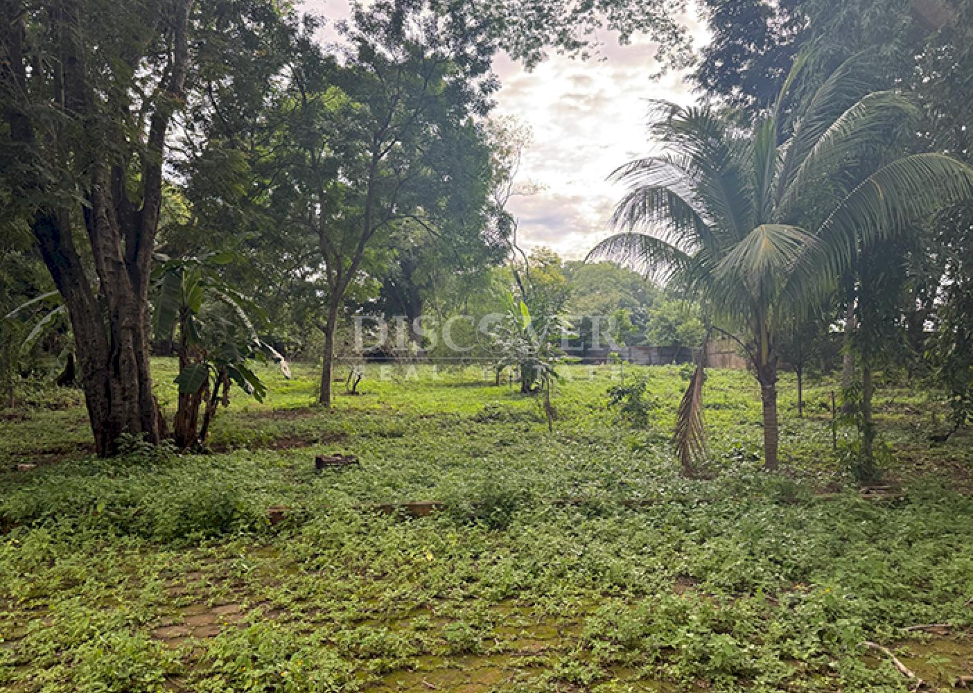  Land for sale along a highway in Masaya