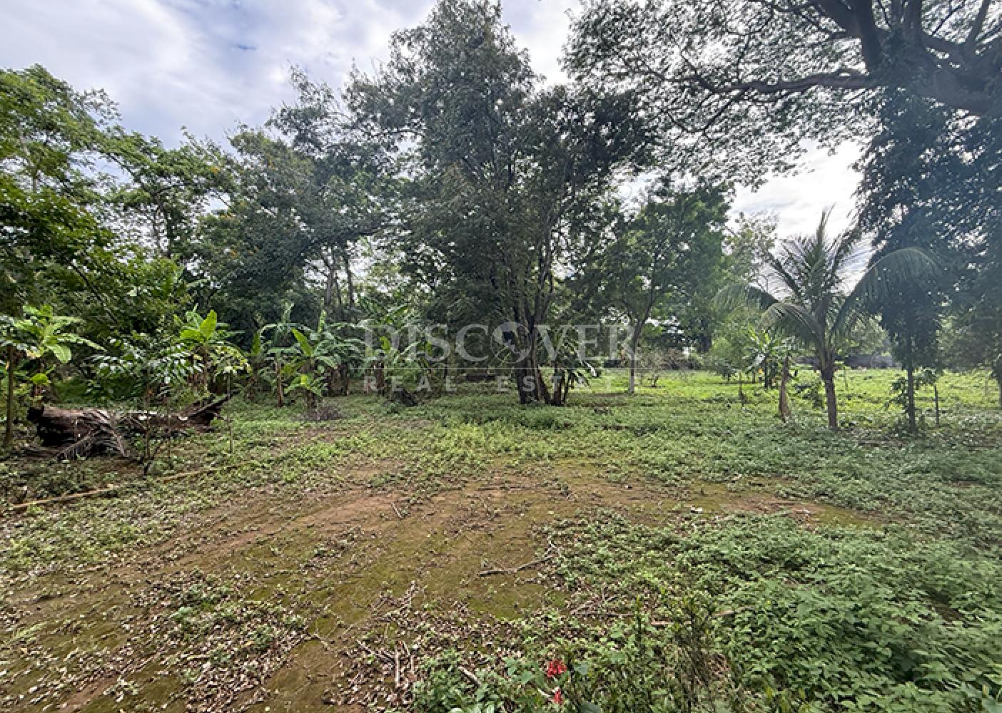  Land for sale along a highway in Masaya