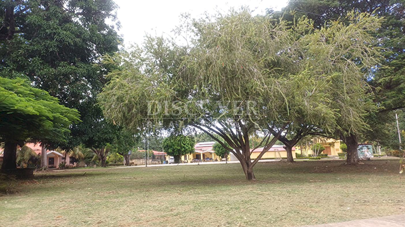 Imagen 3 de la galería