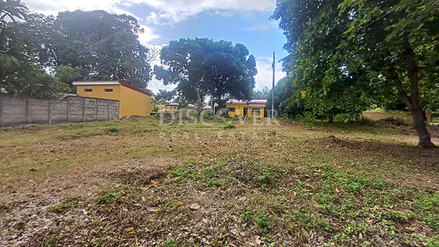 Imagen 5 de la galería