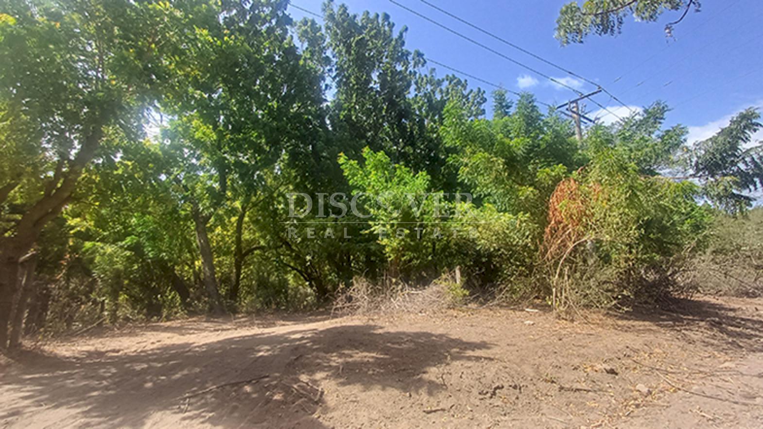  Farm for Sale in Mateare