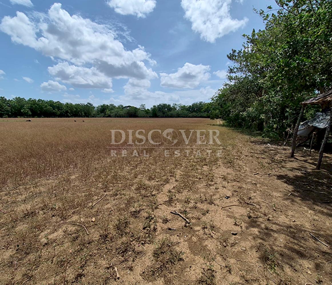  Land for Sale in Sabana Grande