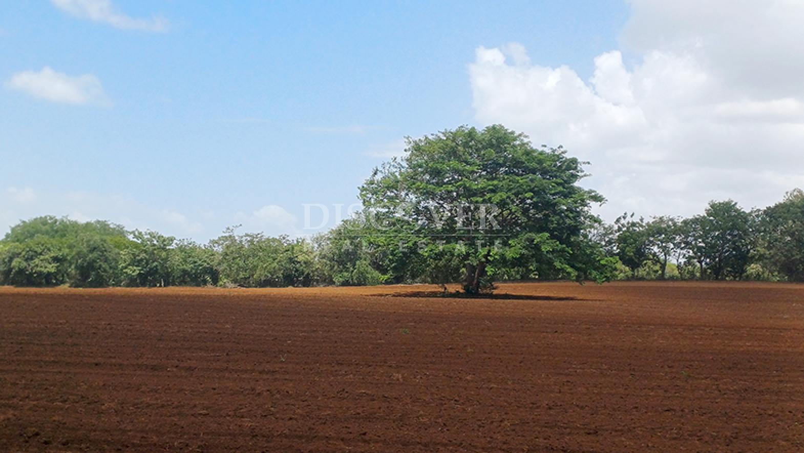  16.5-Manzana Land for Sale Fronting the New Masaya–Tipitapa Highway