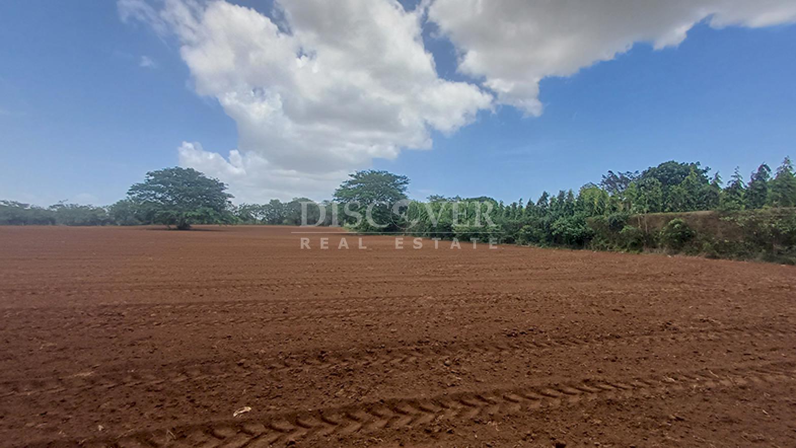  16.5-Manzana Land for Sale Fronting the New Masaya–Tipitapa Highway