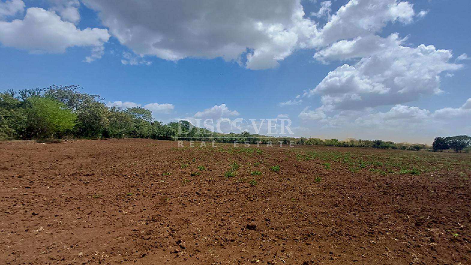  For sale near the new Masaya-Tipitapa highway