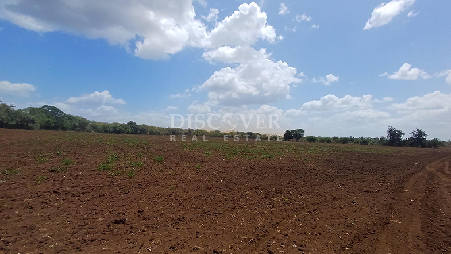  For sale near the new Masaya-Tipitapa highway