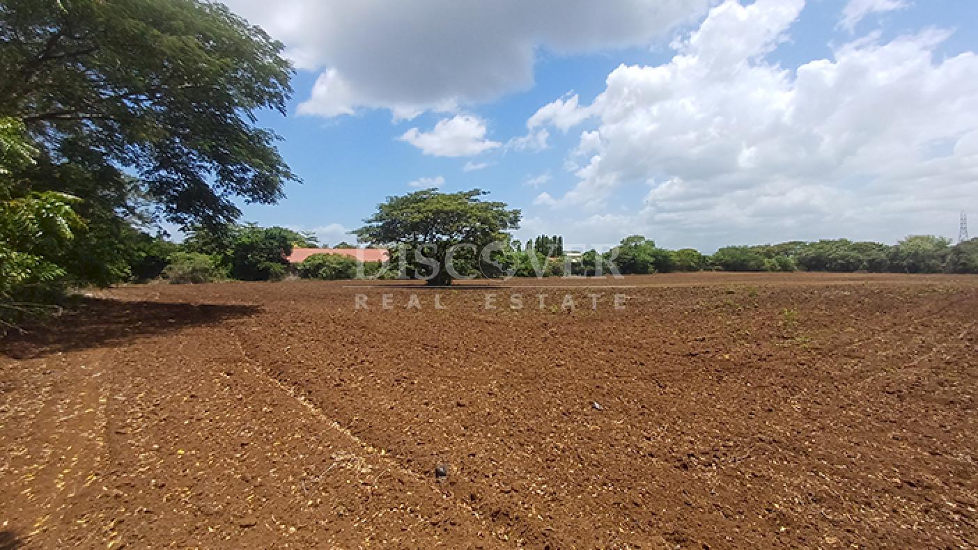 Se vende terreno de 14.3 Manzanas sobre Carretera Nueva Masaya - Tipitapa