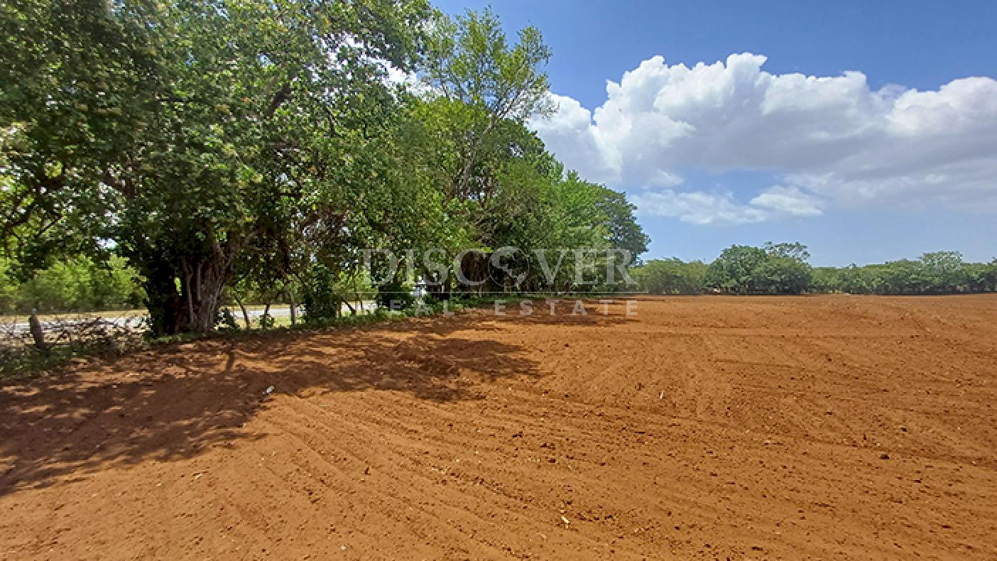 Imagen 5 de la galería