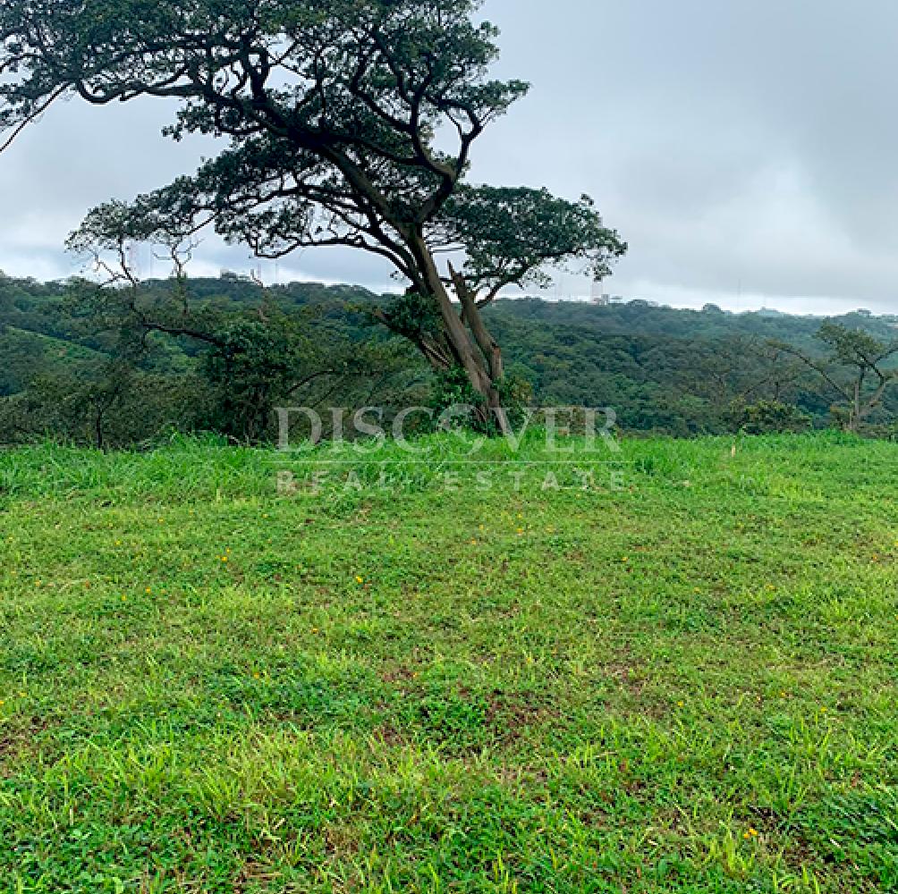 Lots for Sale in El Crucero - Cool Climate Area