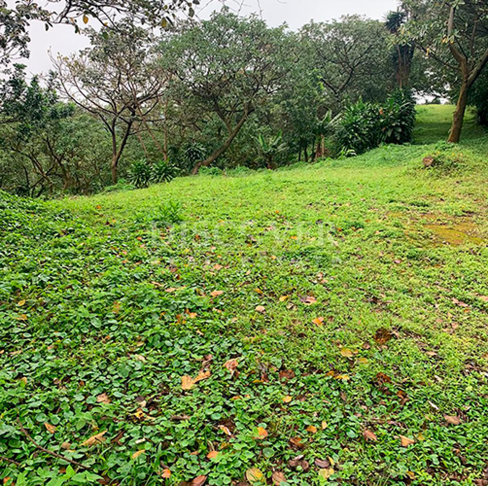 Lots for Sale in El Crucero - Cool Climate Area
