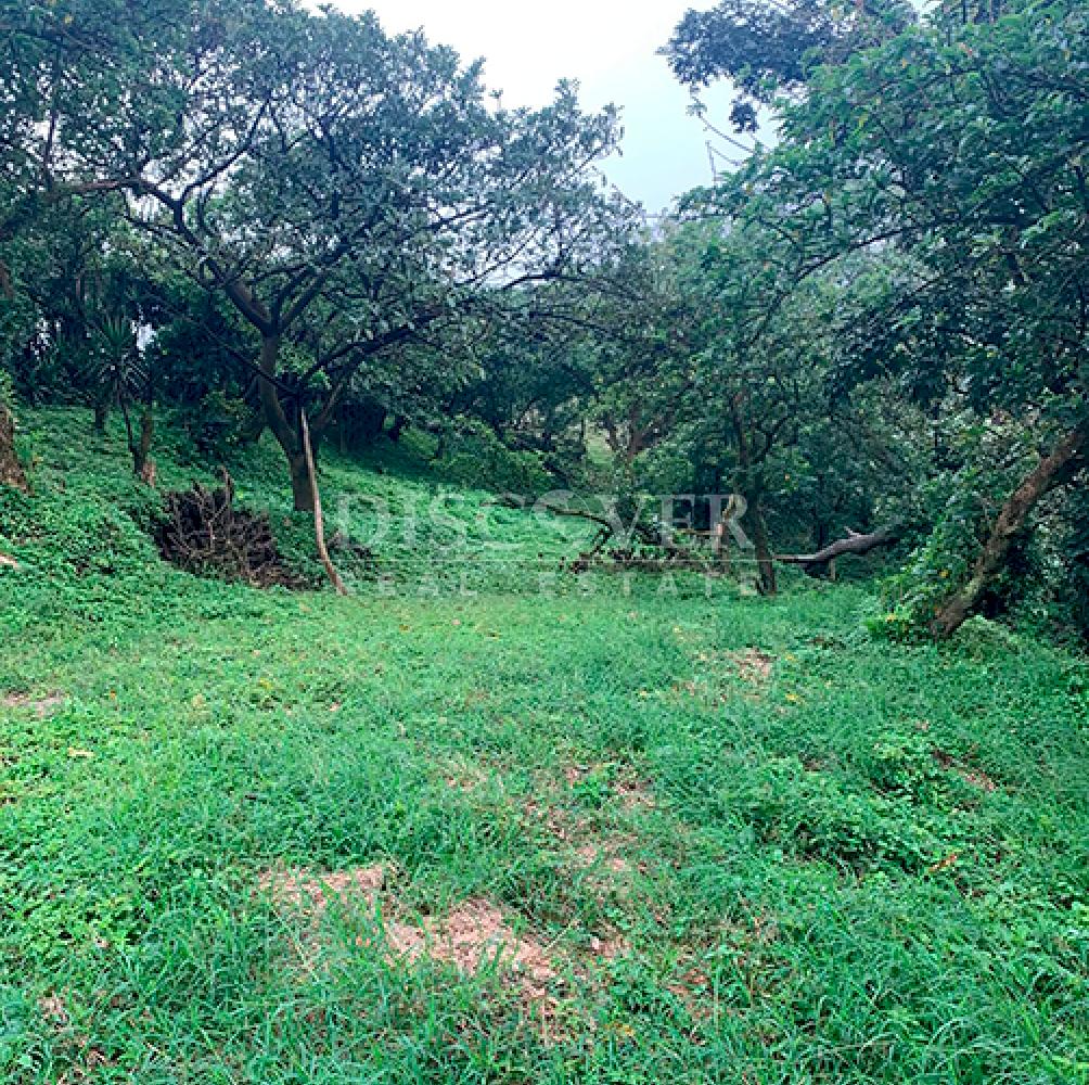 Lots for Sale in El Crucero - Cool Climate Area