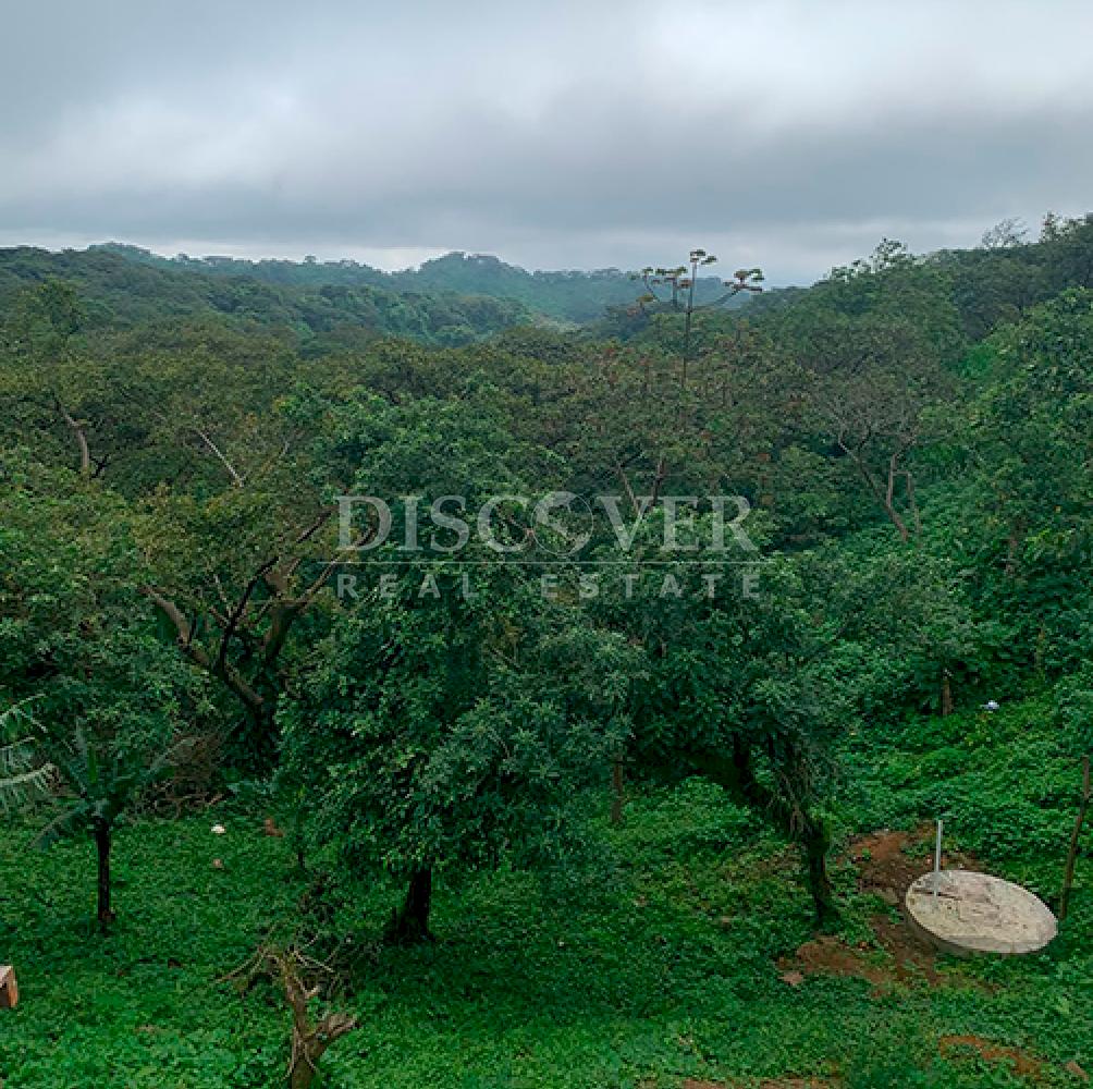 Lots for Sale in El Crucero - Cool Climate Area