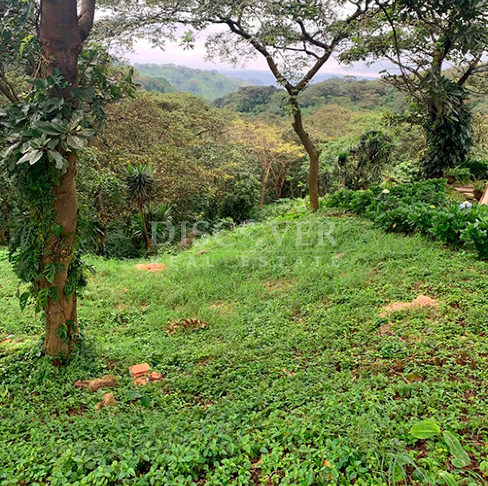 Lots for Sale in El Crucero - Cool Climate Area