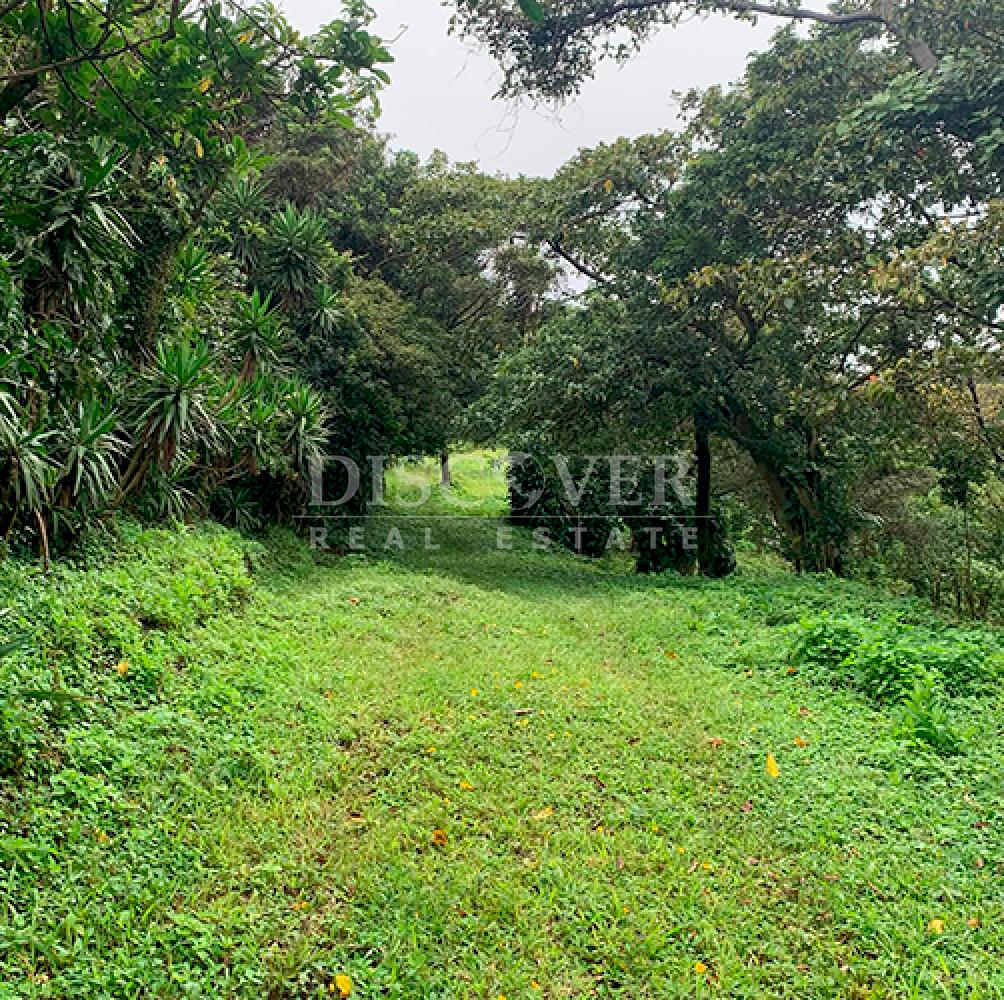 Lots for Sale in El Crucero - Cool Climate Area