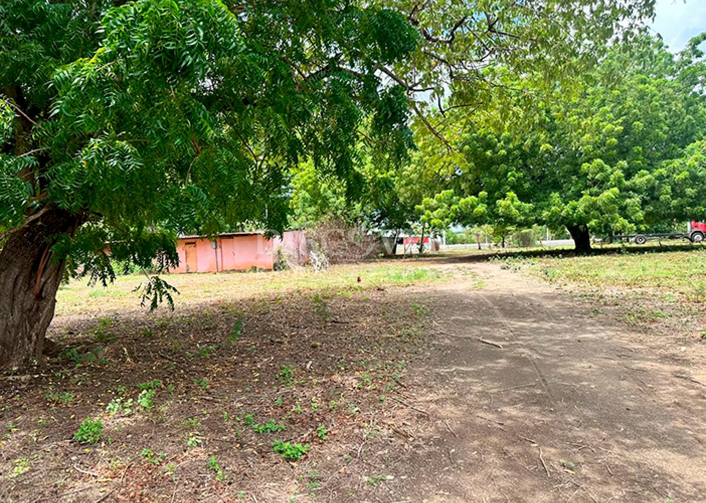  Farm for rent on Carretera Vieja to León