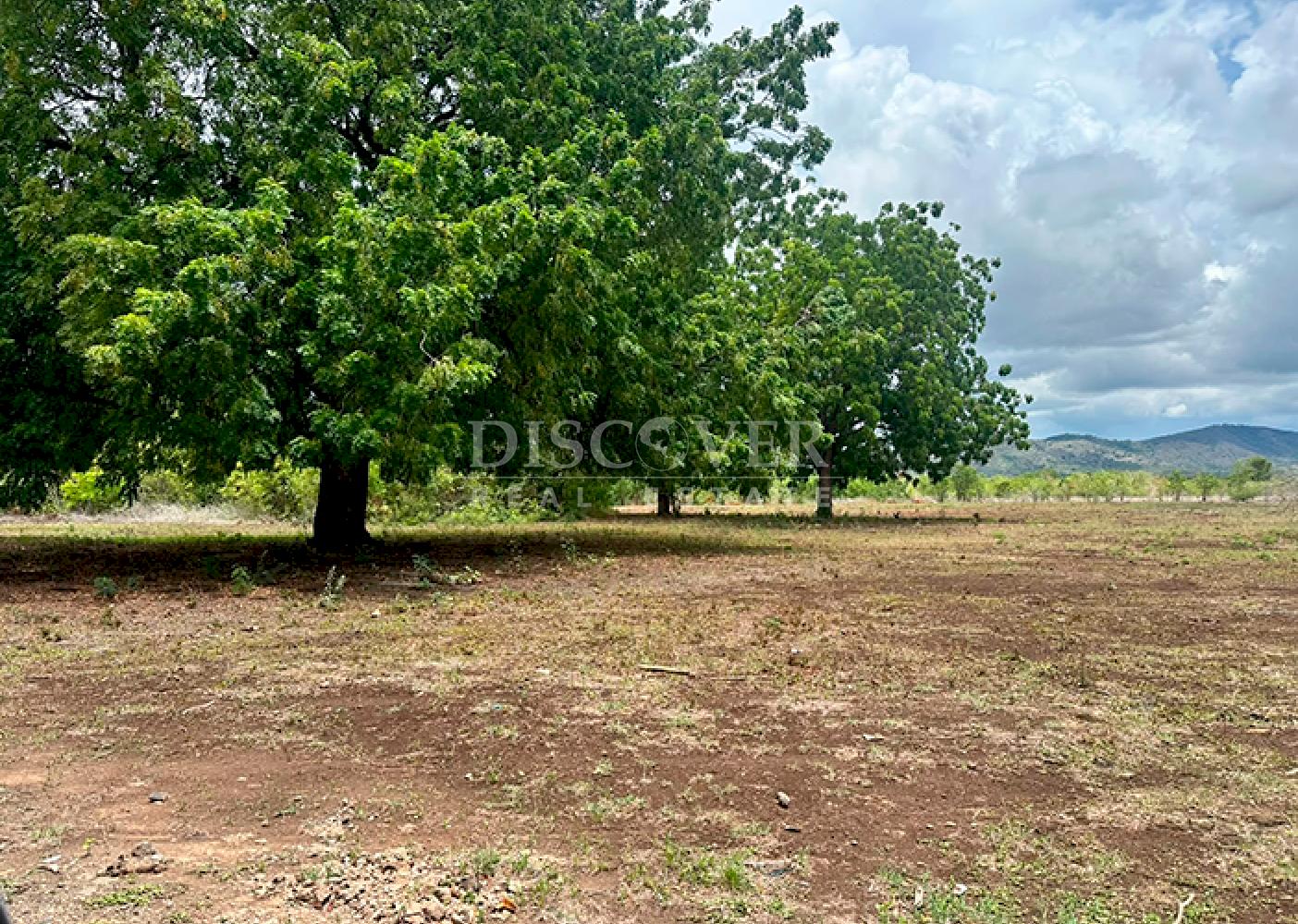  Farm for rent on Carretera Vieja to León