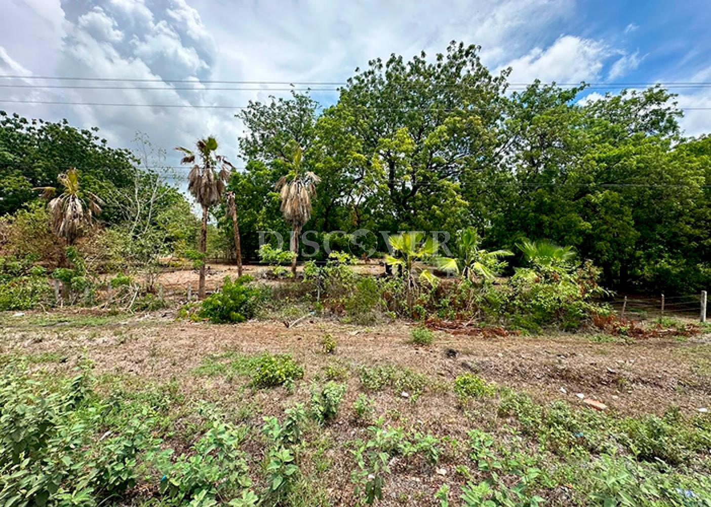  Farm for rent on Carretera Vieja to León