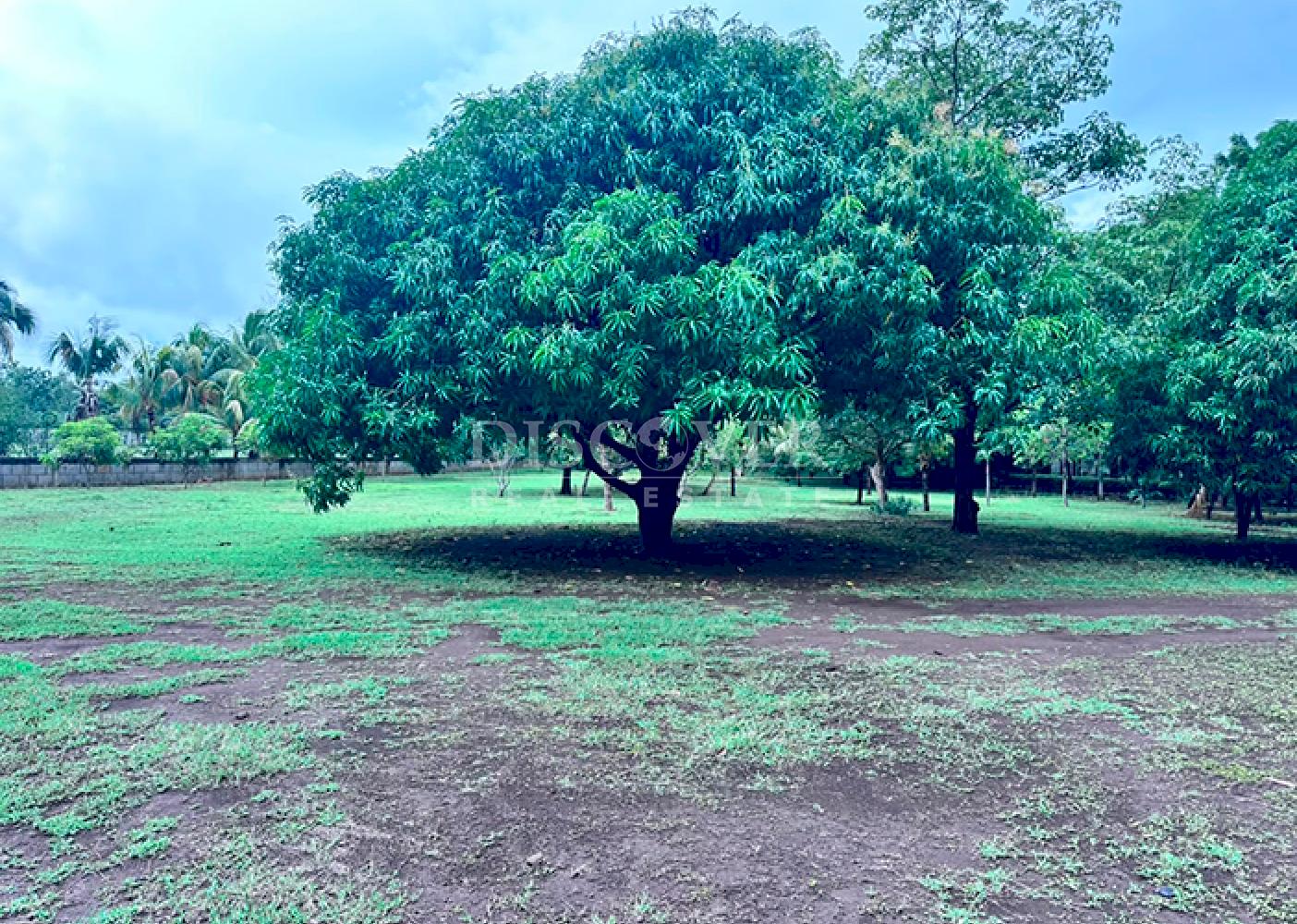 Farm property on Carretera Vieja to León
