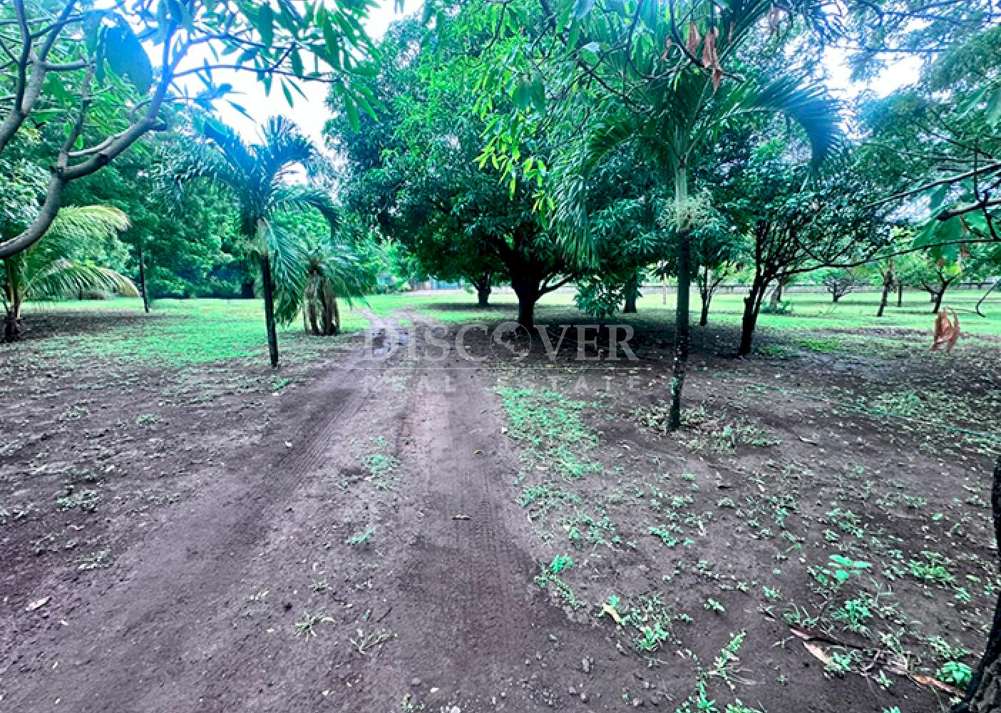  Farm property on Carretera Vieja to León