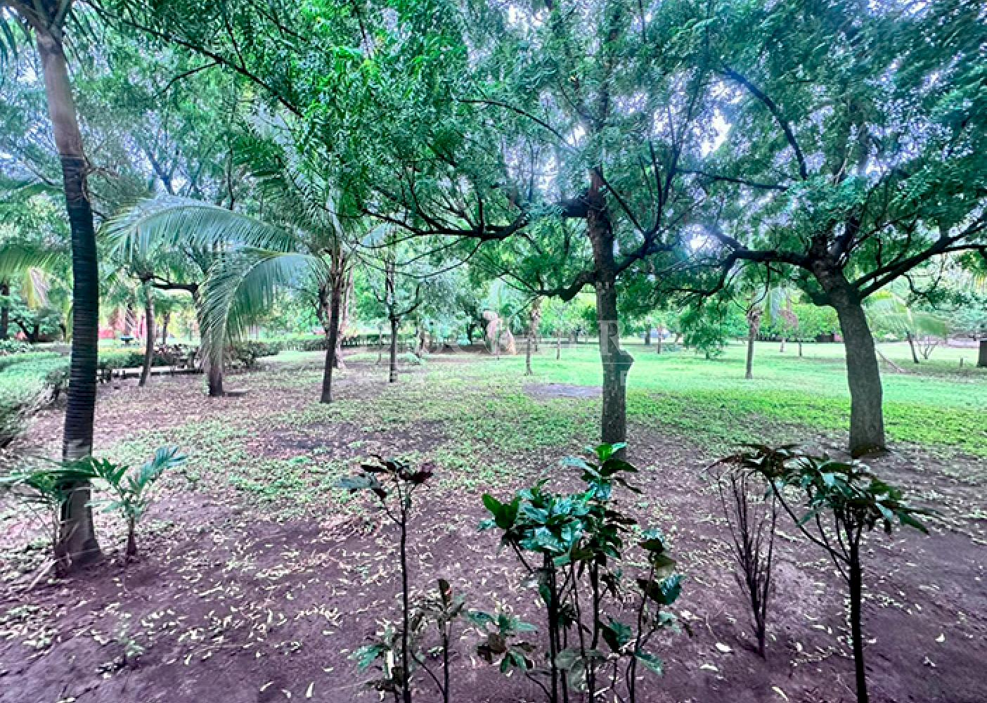  Farm property on Carretera Vieja to León