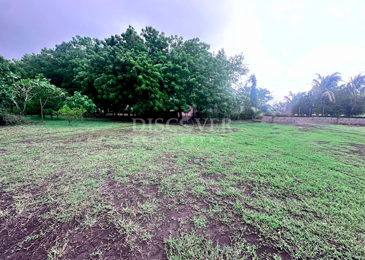  Farm property on Carretera Vieja to León
