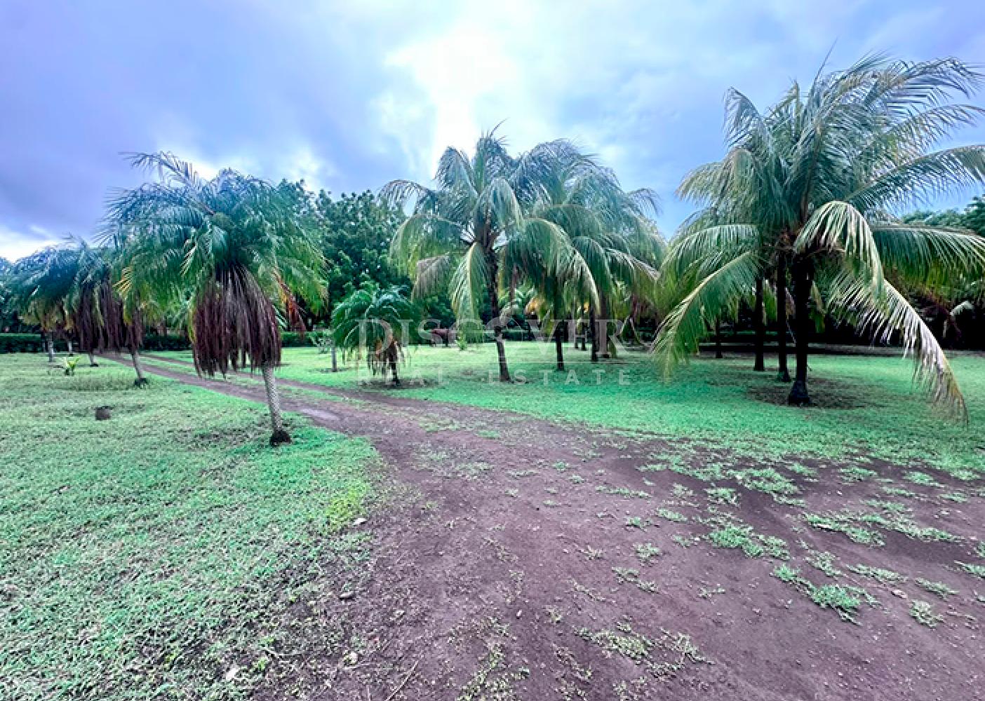  Farm property on Carretera Vieja to León