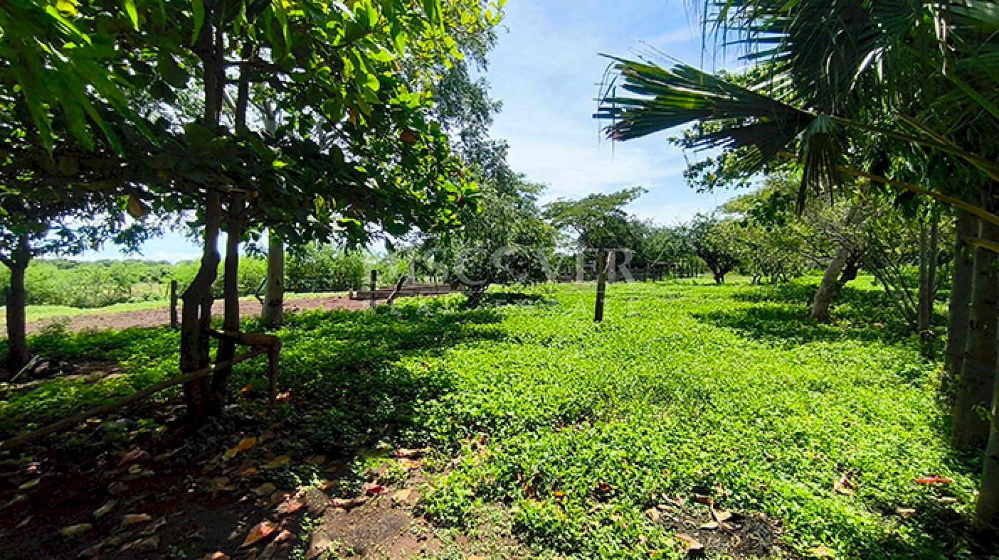 Country house for sale with lake views in Granada 