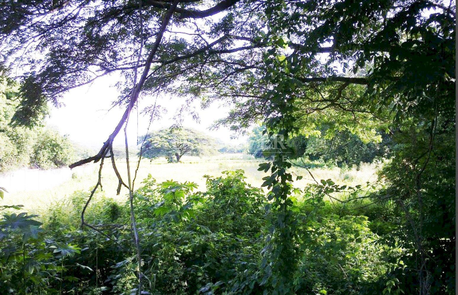 Imagen 3 de la galería