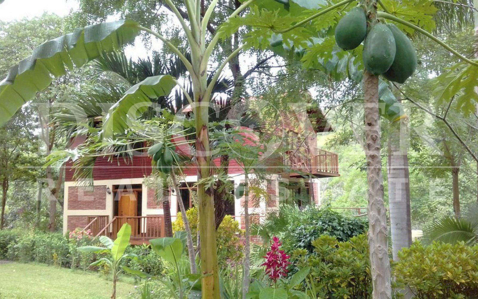 Imagen 2 de la galería