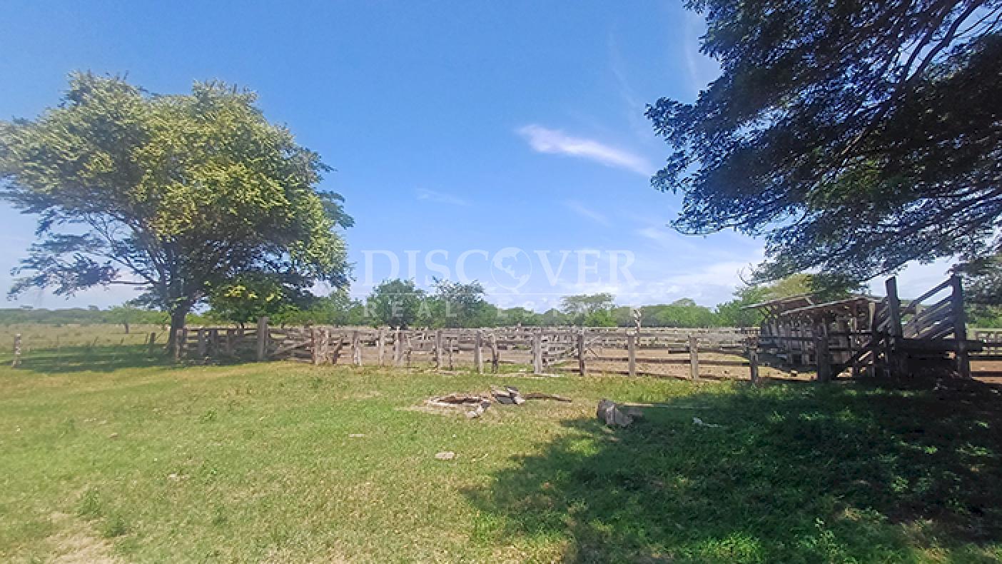 Agro-industrial farm for sale, located along the highway in Rivas
