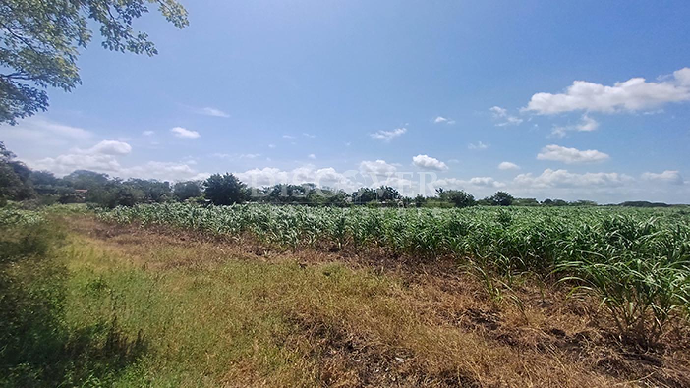 Agro-industrial farm for sale, located along the highway in Rivas