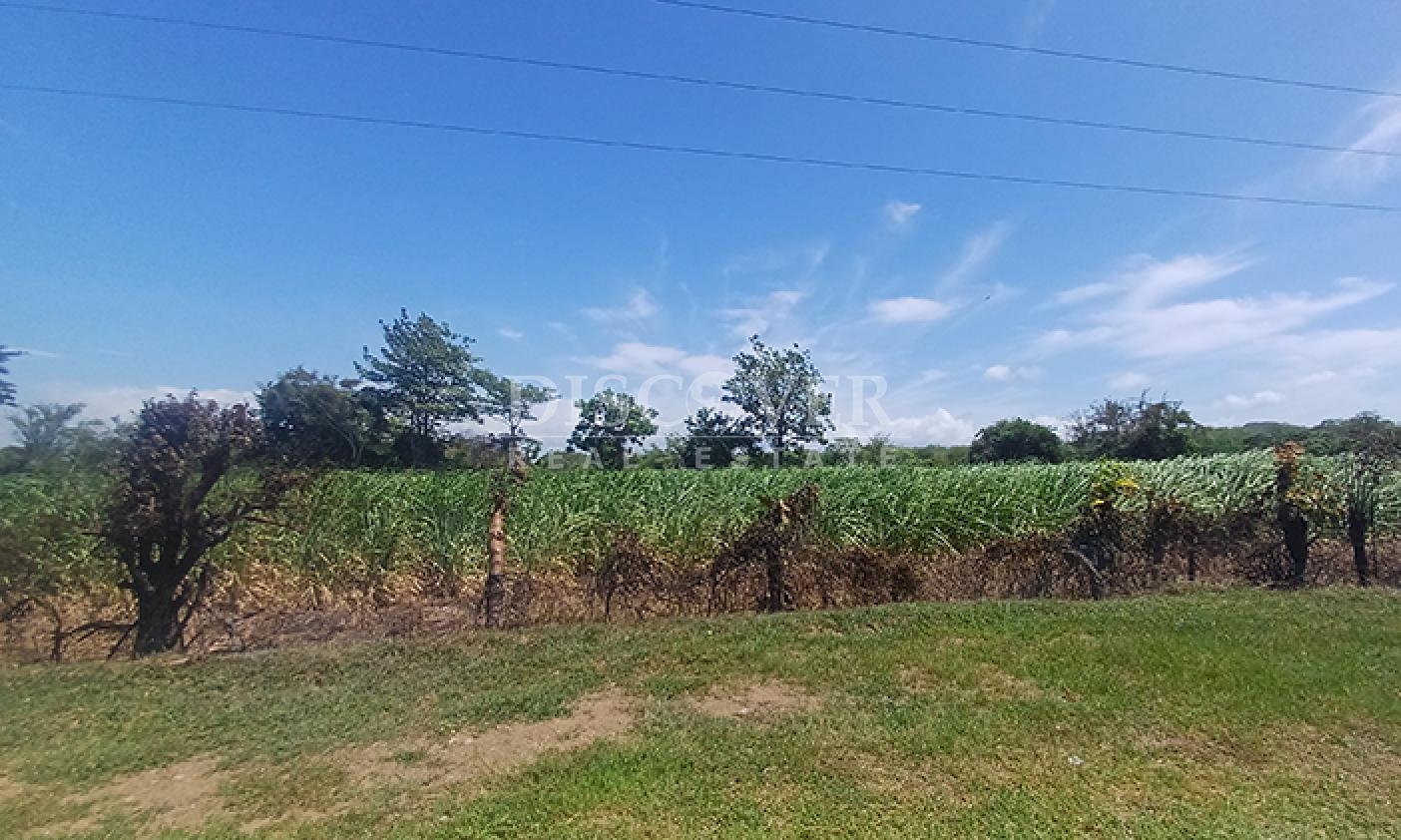 Agro-industrial farm for sale, located along the highway in Rivas