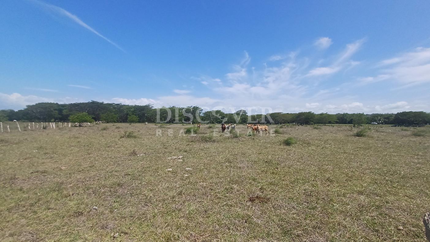 Agro-industrial farm for sale, located along the highway in Rivas