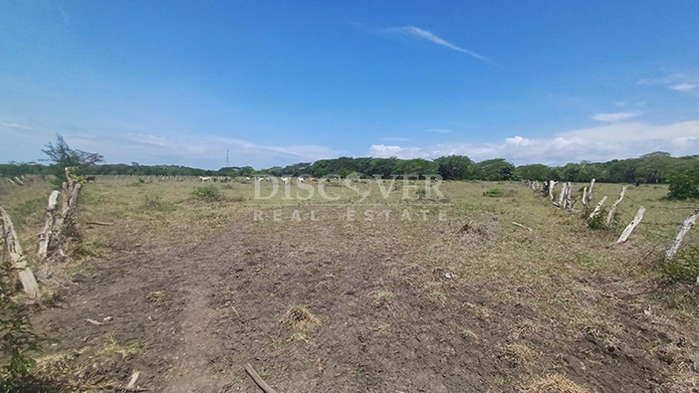Agro-industrial farm for sale, located along the highway in Rivas