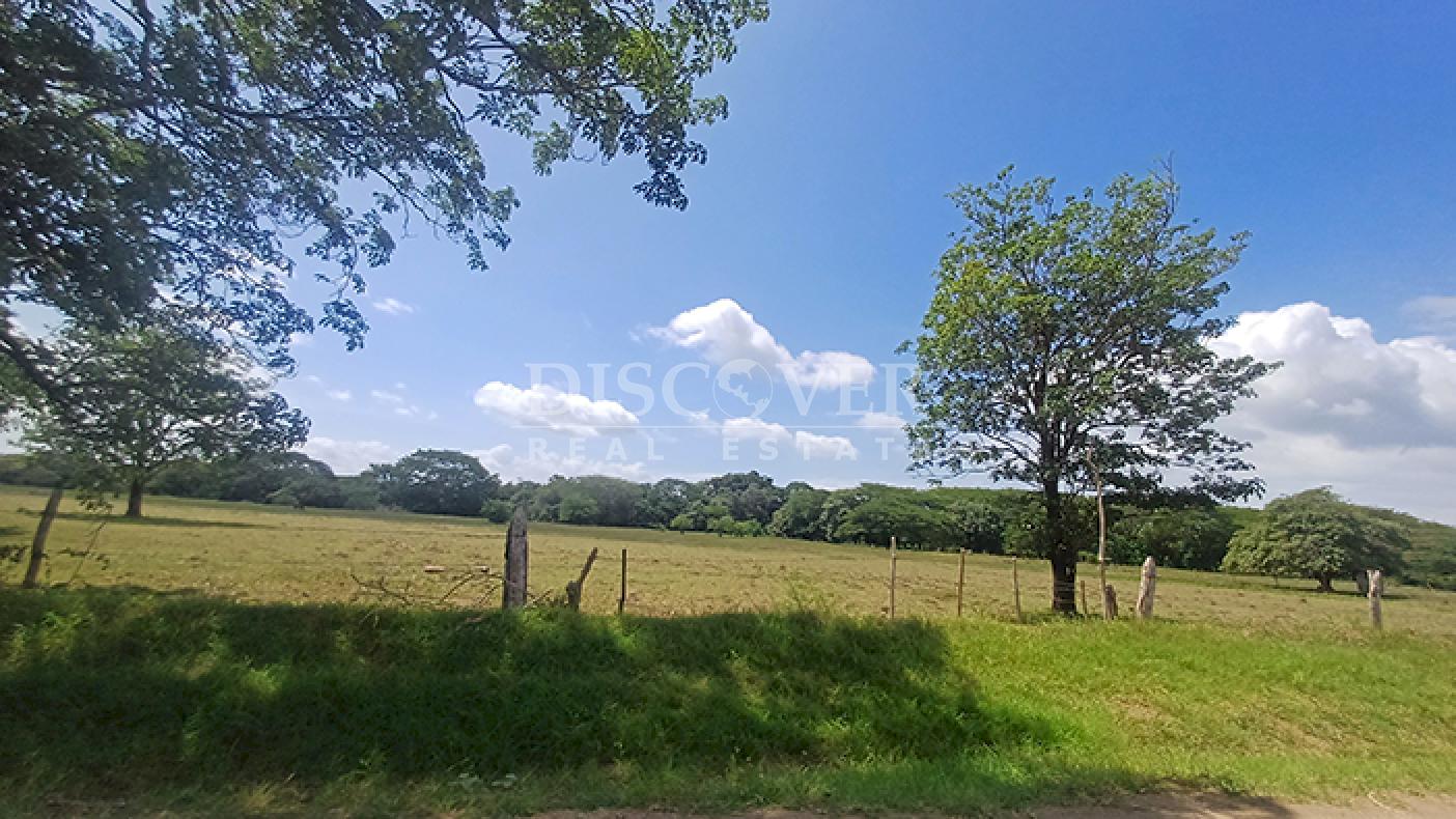 Agro-industrial farm for sale, located along the highway in Rivas