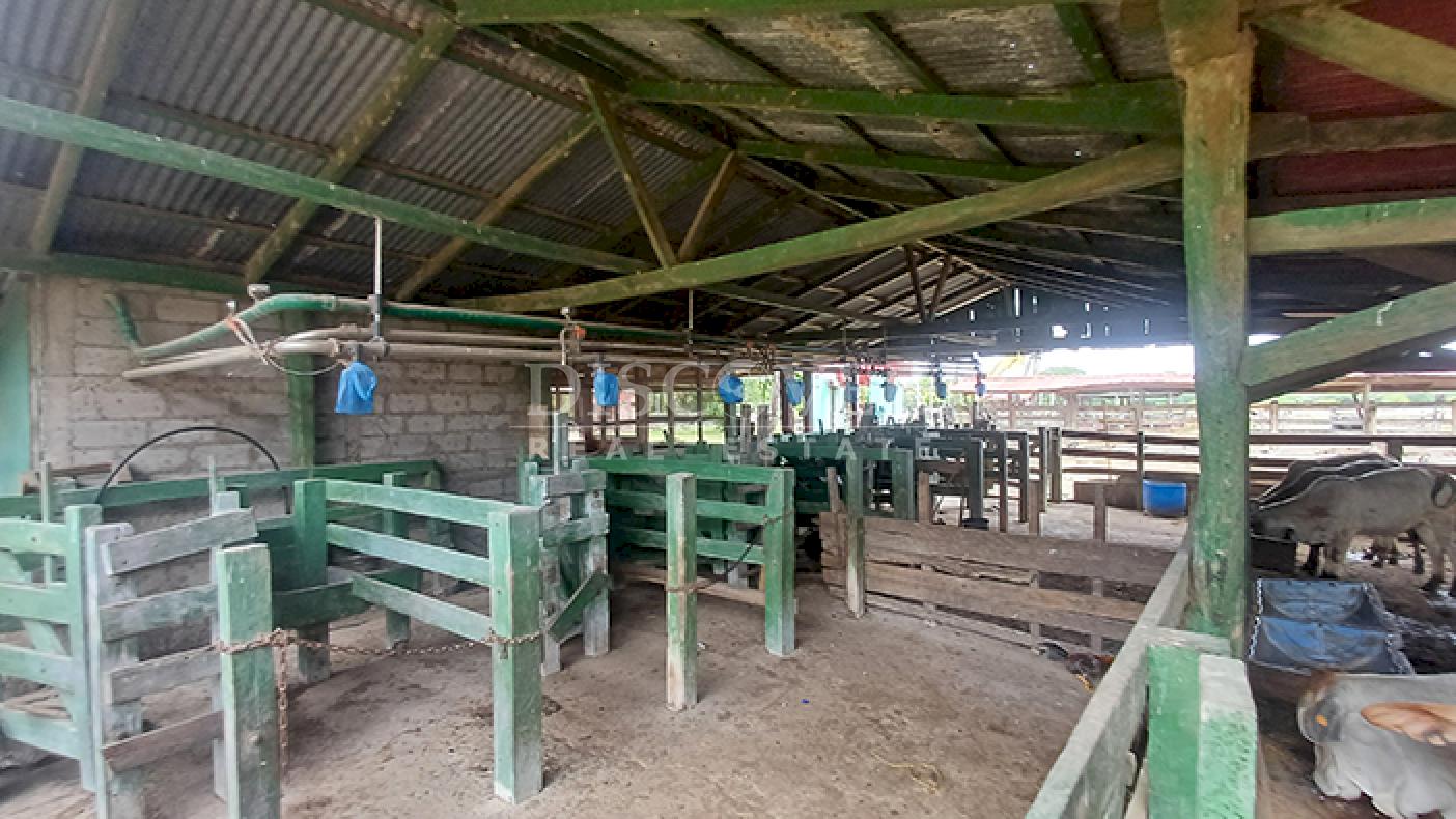 Agro-industrial farm for sale, located along the highway in Rivas