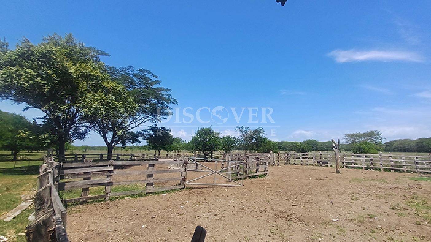 Agro-industrial farm for sale, located along the highway in Rivas
