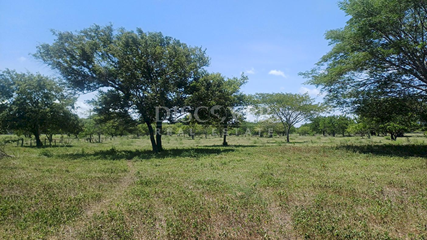 Agro-industrial farm for sale, located along the highway in Rivas