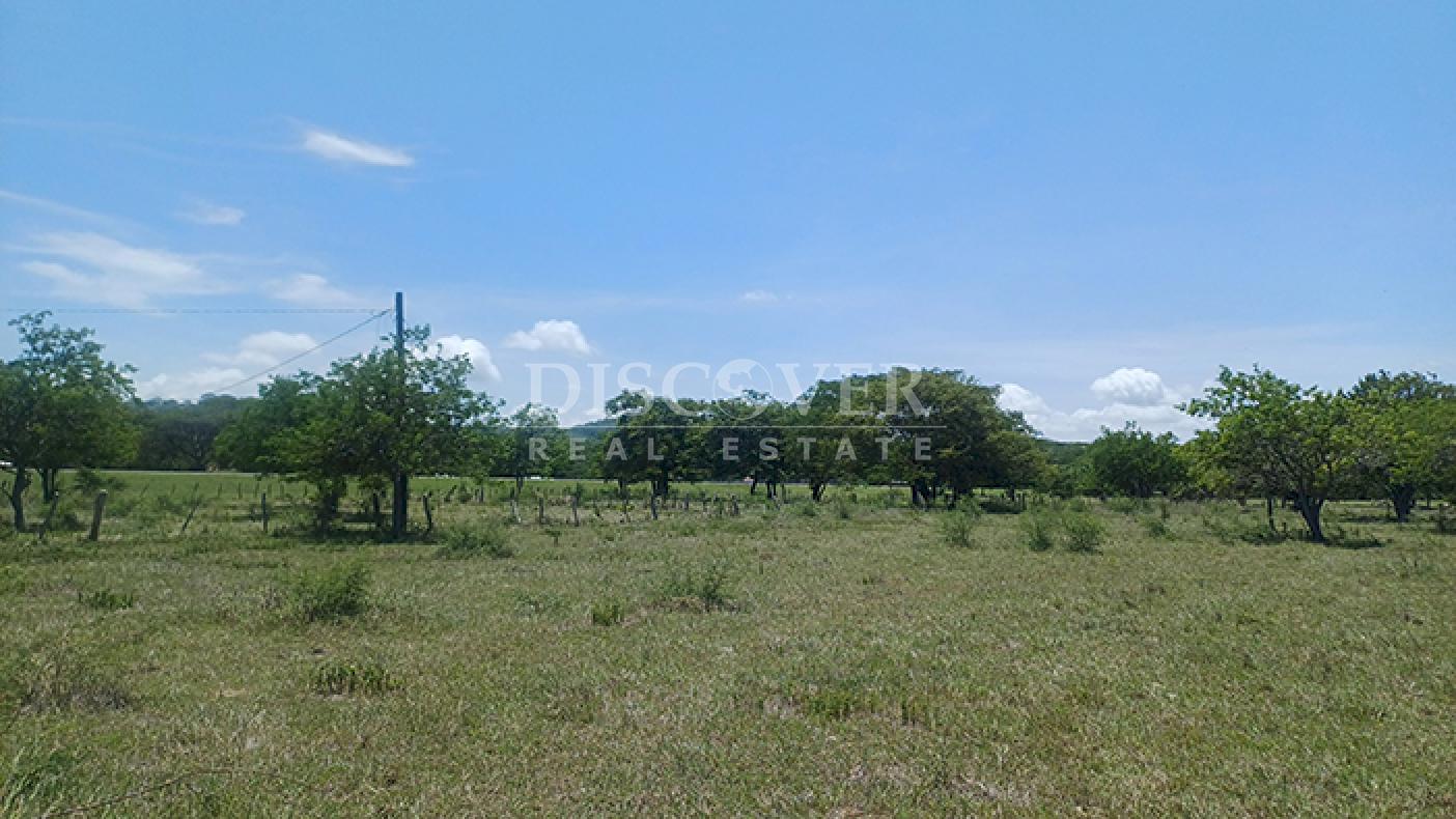 Agro-industrial farm for sale, located along the highway in Rivas