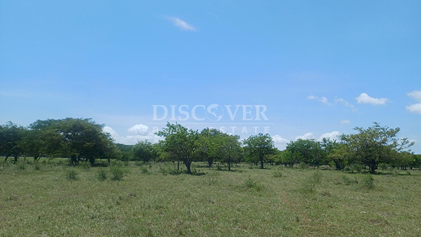 Agro-industrial farm for sale, located along the highway in Rivas