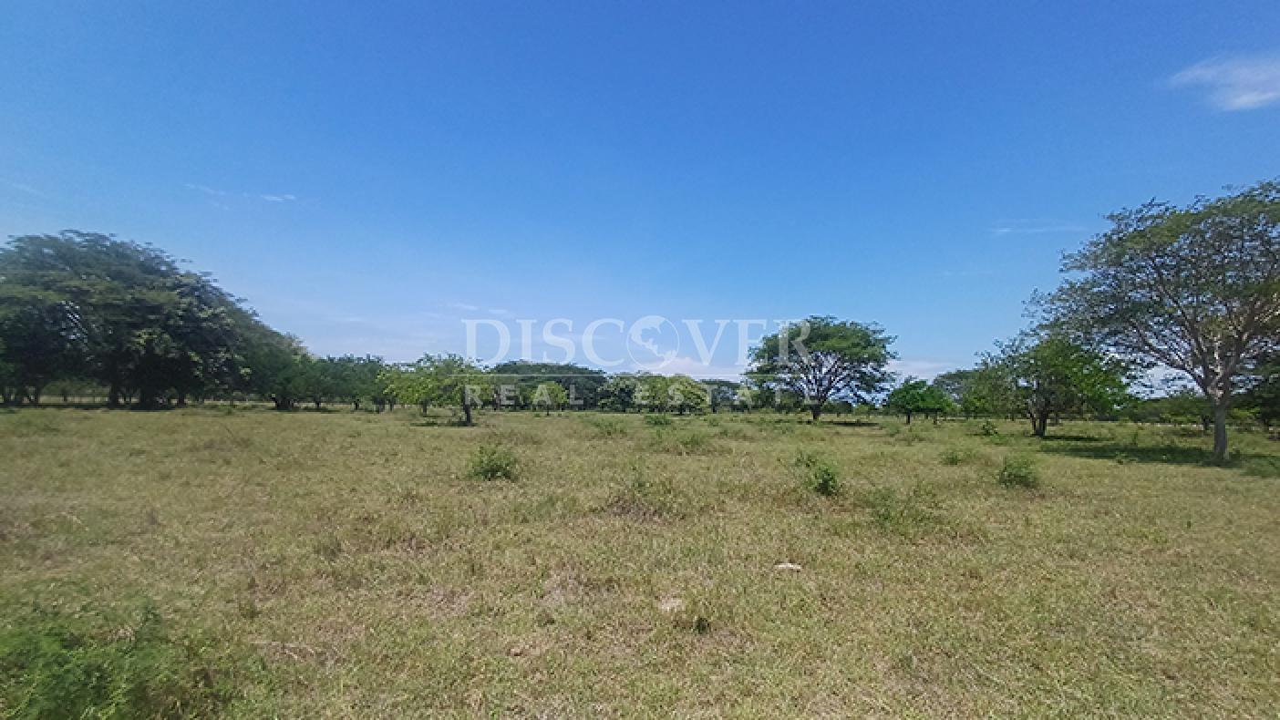 Agro-industrial farm for sale, located along the highway in Rivas
