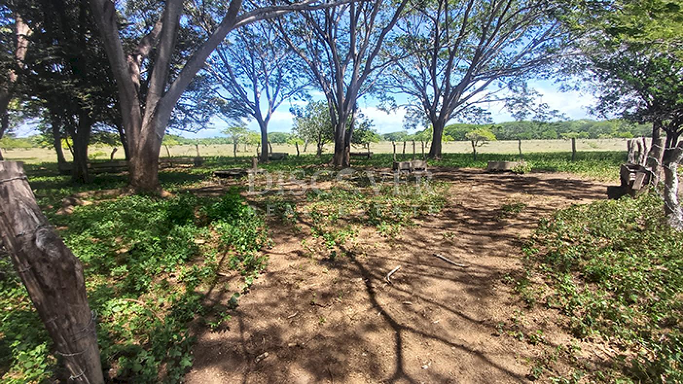 Agro-industrial farm for sale, located along the highway in Rivas