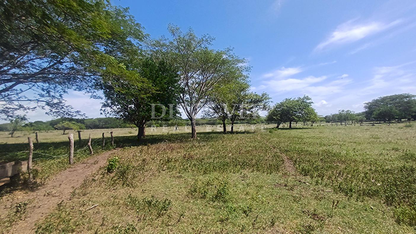 Agro-industrial farm for sale, located along the highway in Rivas