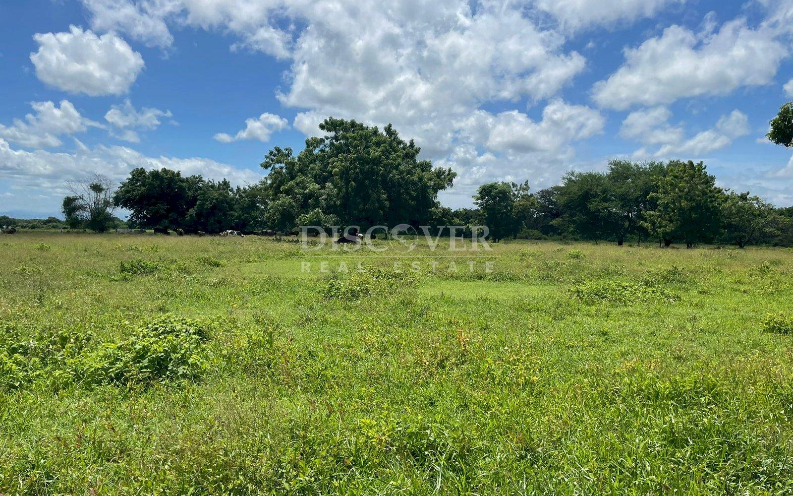 https://images.discovernica.com/propiedad/1600/193c727c_20f7_4003_873a_19498e66e94c.jpg