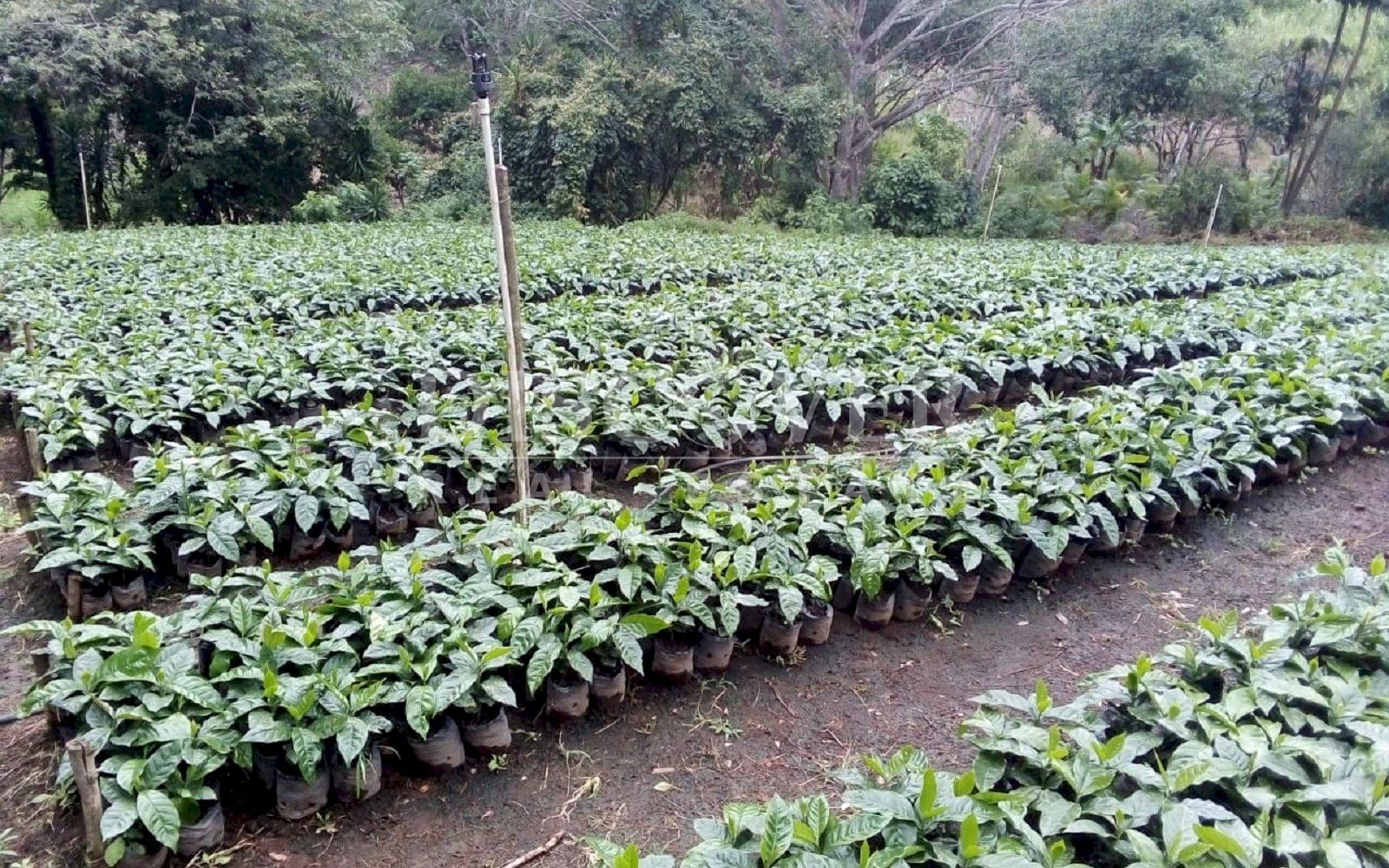 https://images.discovernica.com/propiedad/1600/19a29d68_dd4c_48d3_98da_3d6f40856039.jpg
