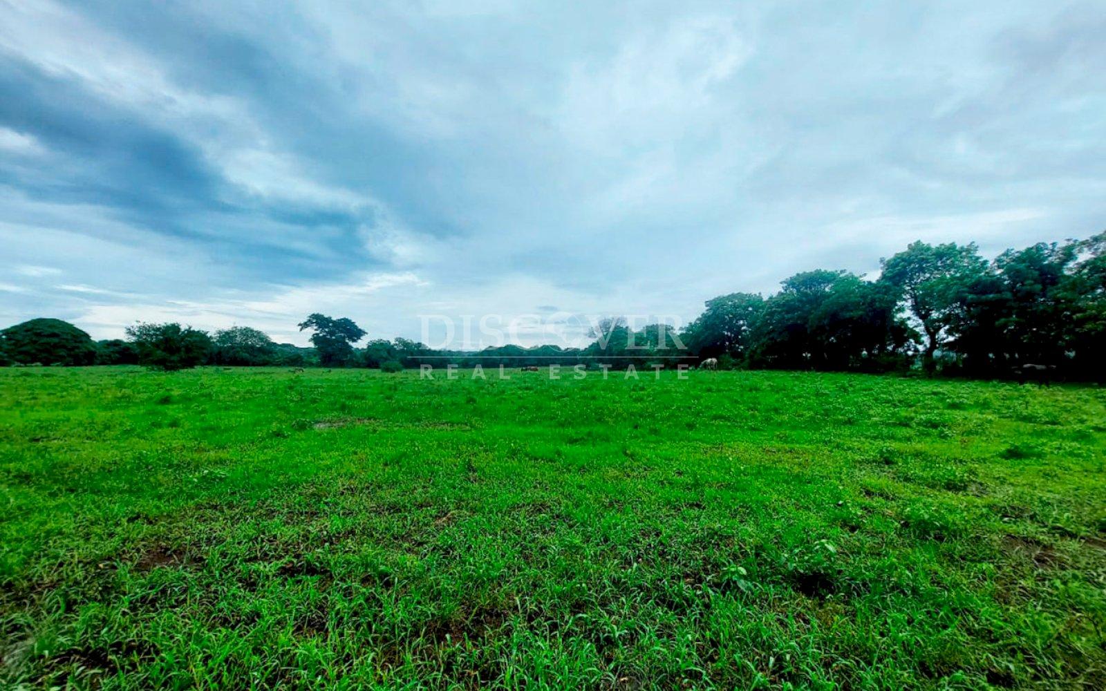 Imagen 2 de la galería