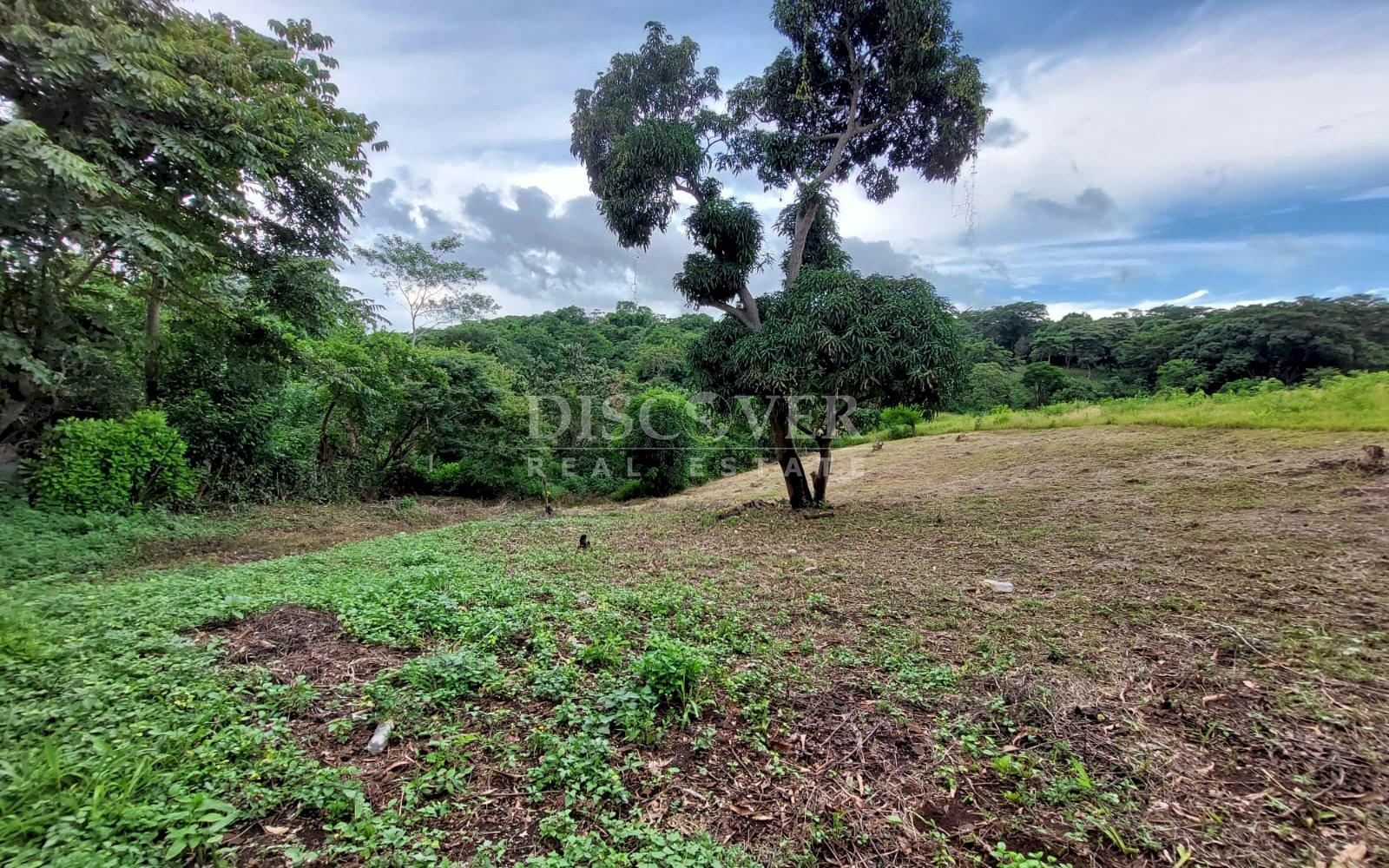 Imagen 1 de la galería