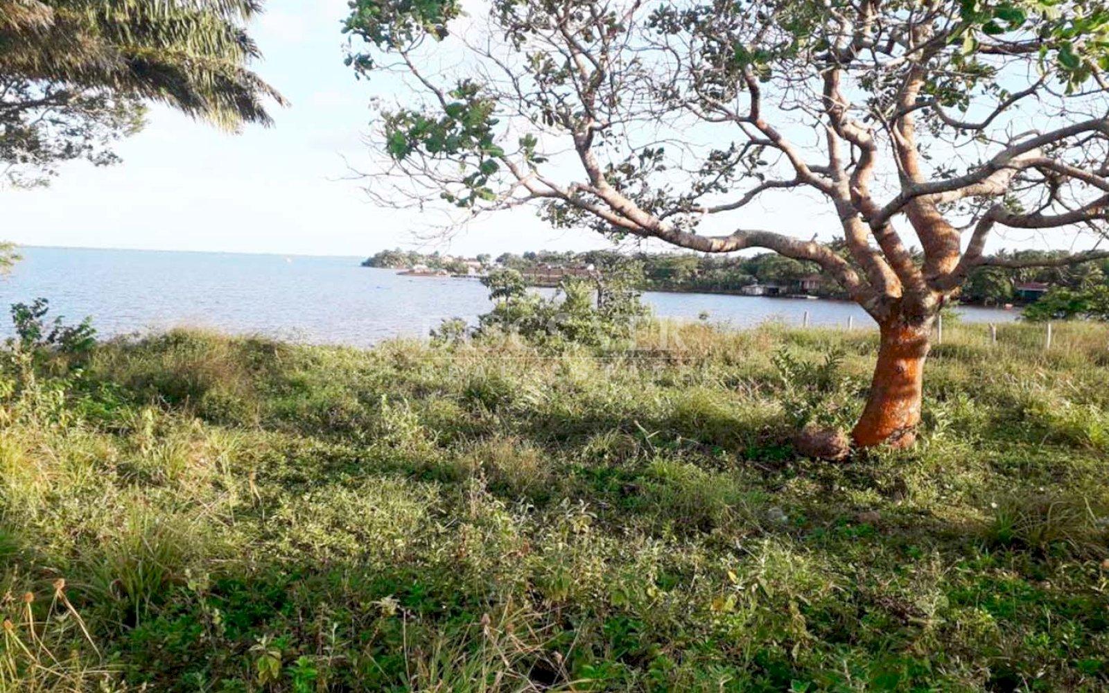 https://images.discovernica.com/propiedad/1600/1_AVAL_O_INMUEBLE_URBANO_TERRENO_BALD_O_4_1_.jpg